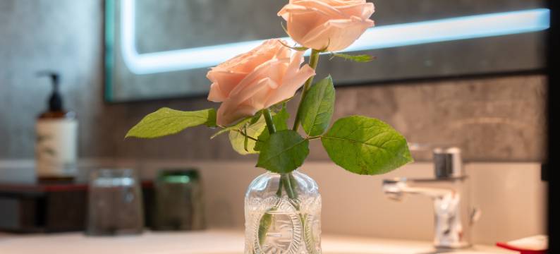 重庆观音桥华美达安可酒店图片