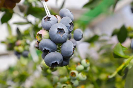 昆明空港希尔顿逸林酒店(昆明长水国际机场店)图片