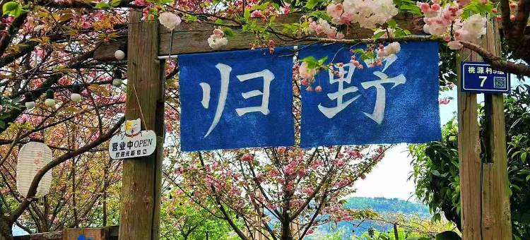 成都归野民宿(龙泉山桃花故里风景店)图片