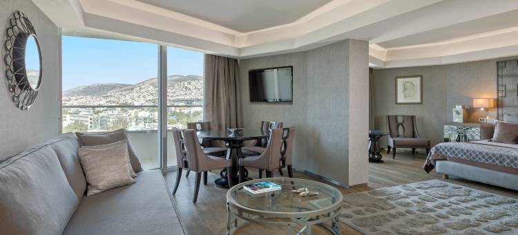阿波罗迪万皇宫海水浴酒店(Divani Apollon Palace & Thalasso)图片