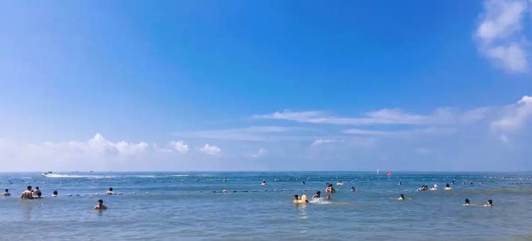 茂名海豚酒店(中国第一滩店)图片