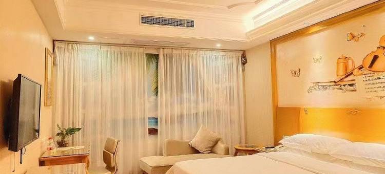 维也纳国际酒店(佛山祖庙张槎店)图片