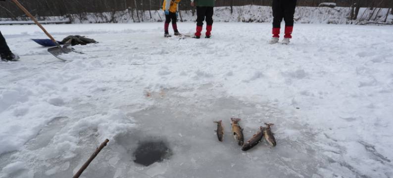 长白山双溪森林营地图片