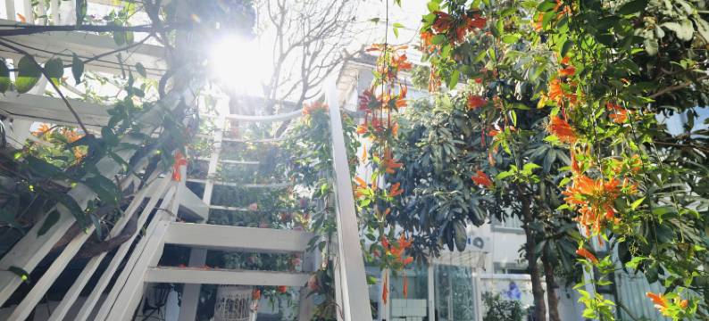 大理古城童话镇民宿图片