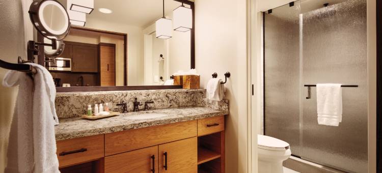 迪斯尼生境度假村铜溪别墅与木屋度假村(Copper Creek Villas & Cabins at Disney's Wilderness Lodge)图片