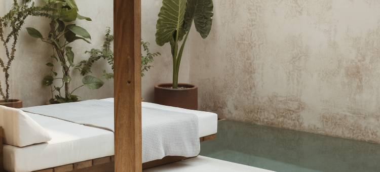 月牙(Lunaya)图片