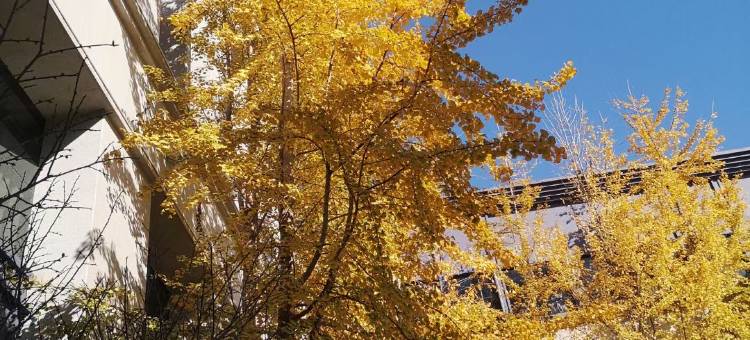 新田鼎丰国际大酒店图片