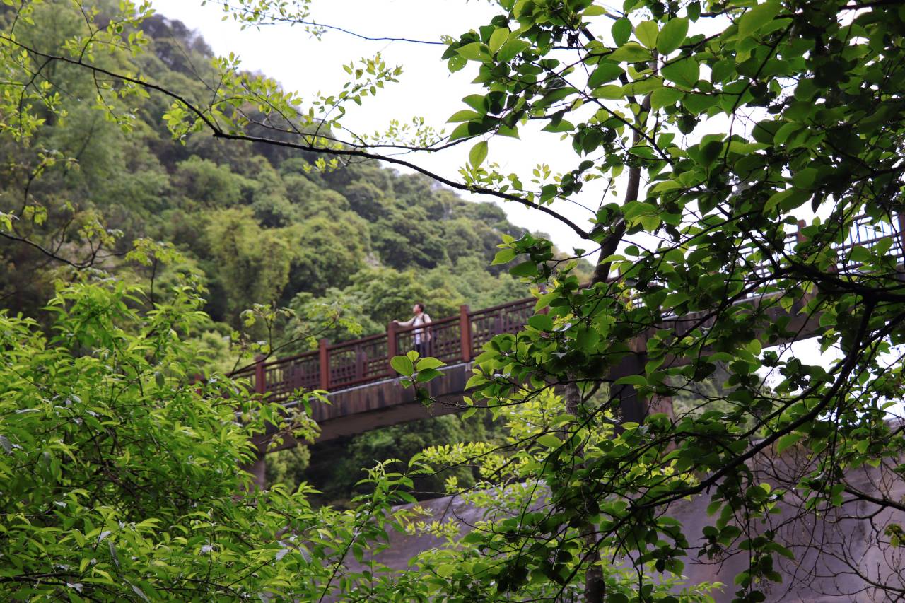 宁波宁海安岚图片