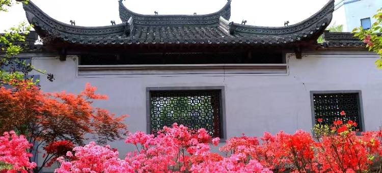 五莲良友喜事会图片