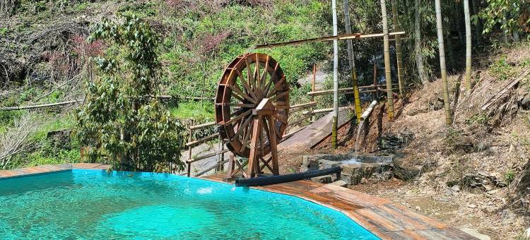 九宫山竹林下民宿图片