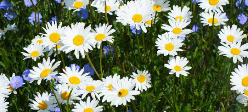 天鹅乐水民宿(赛里木湖景区店)图片