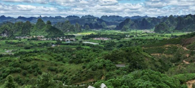 T三峰林茶谷野奢帐篷营地图片