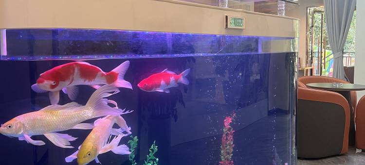 茉雅酒店(南充北站店)图片