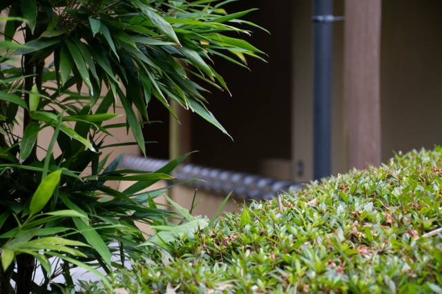 伊豆善积别苑旅馆(不接待12岁及以下的客人入住)(Izu Kougen Hanare Yado Yoshizumi (Kids 12 and under not allowed))图片