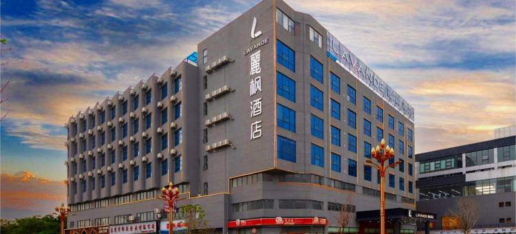 麗枫酒店(东莞会展中心虎门高铁站店)图片
