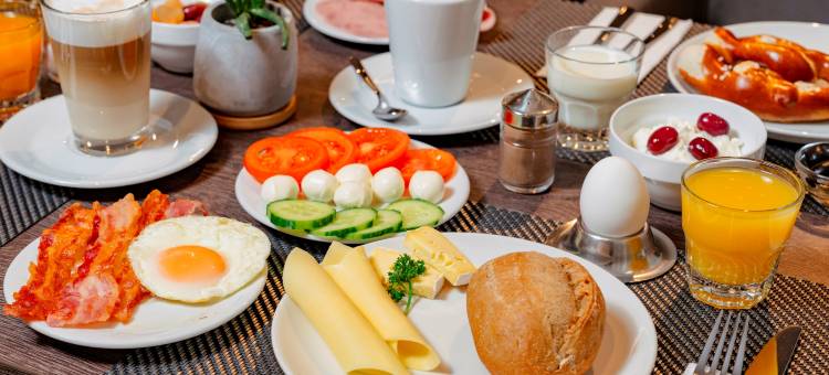 PLAZA INN卡尔斯鲁厄北(PLAZA INN Karlsruhe Nord)图片