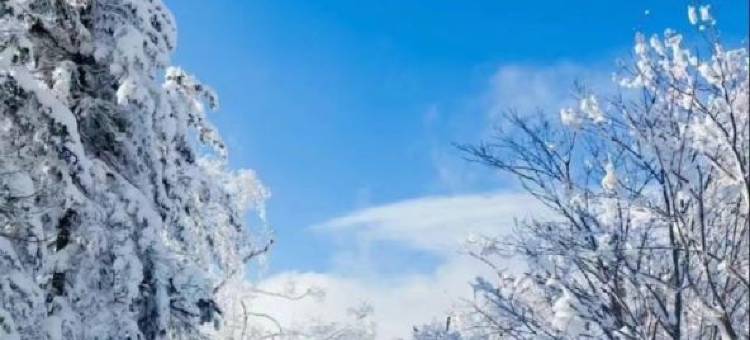 亚布力滑雪场信满仓庄稼院(亚布力南站店)图片