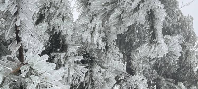 新昌天姥山天姥隐酒店图片