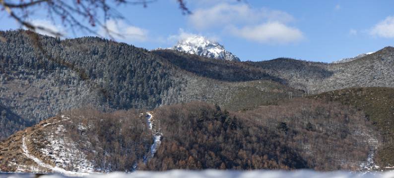 香格里拉青雨·见山归璞庄园(纳帕海景区店)图片