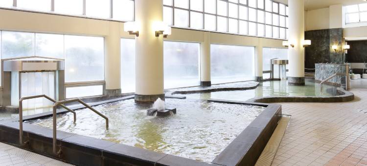 维尔港夏威夷 Spa 度假村(Spa Resort Hawaiians Vir Port)图片