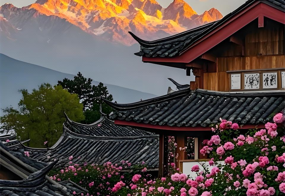 丽江拂柳会馆外景图