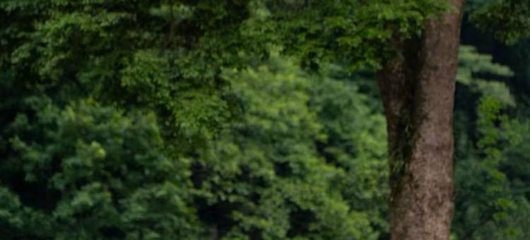 峨眉山岚域ZOLAND酒店图片