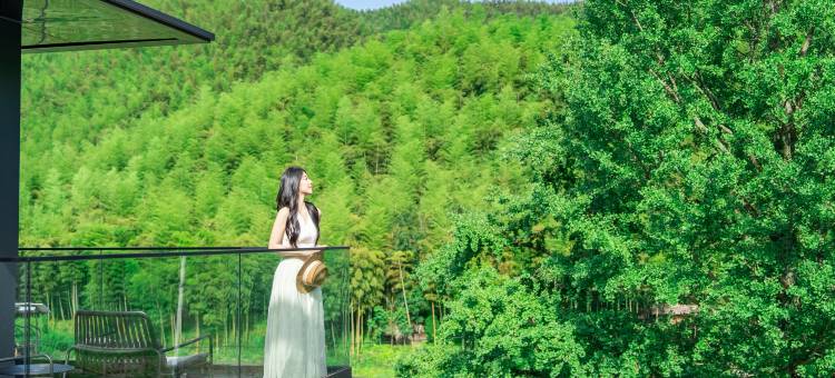 安吉·银杏墅Ginko House山野溯溪·设计师度假美宿图片