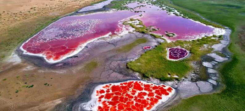 中卫星星讲解·亲子研学·沙海湖泊·五湖穿越·露营基地图片