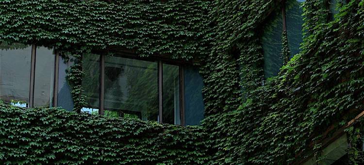 大连香格里拉大酒店图片