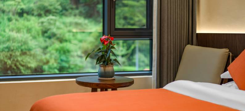 九华山竹林人家民宿图片