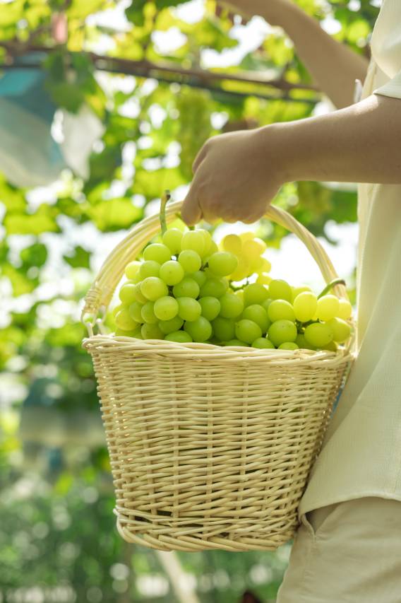 崇左在野宿集·野白度假Villa图片