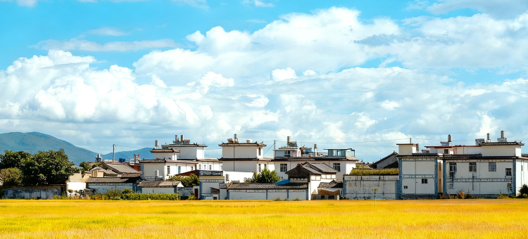 瑞都智慧酒店(大理高铁站洱海公园店)图片