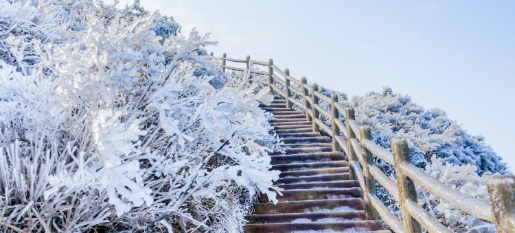 清远金子山森林雪谷壮瑶度假村图片