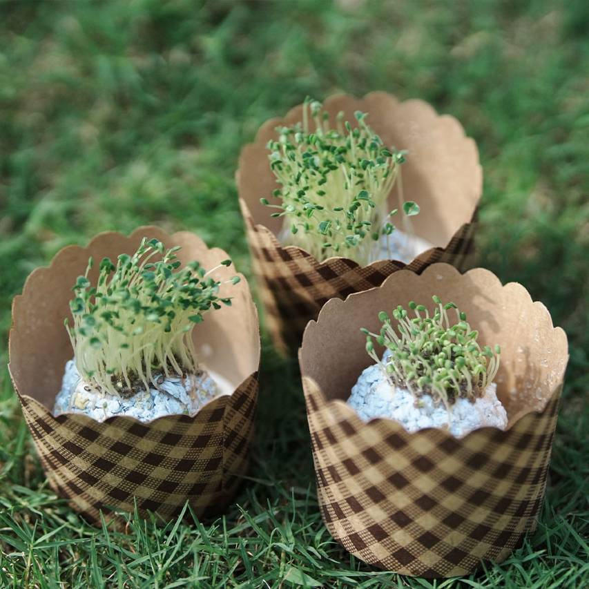 温州永嘉楠溪江鸿居温泉酒店图片