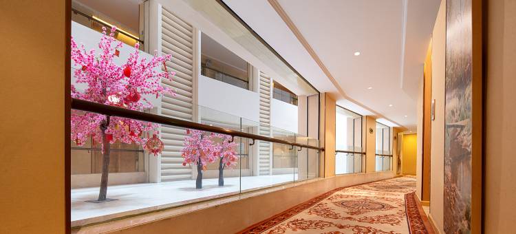 曼斯顿国际酒店(揭东区新亨镇店)图片