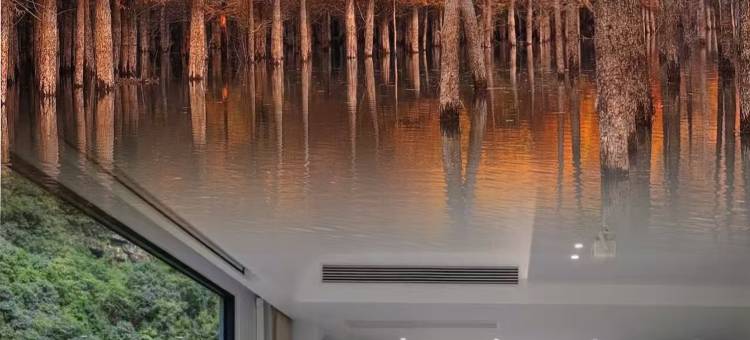 宁国·栖溪别院·杉山映溪·轻奢度假民宿(板桥水墨汀溪风景区店)图片