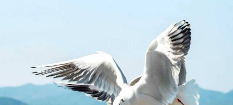 昆明中心皇冠假日酒店(南屏街店)图片