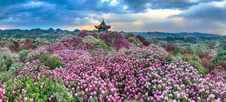 艺龙安云酒店(毕节七星关区人民公园店)图片