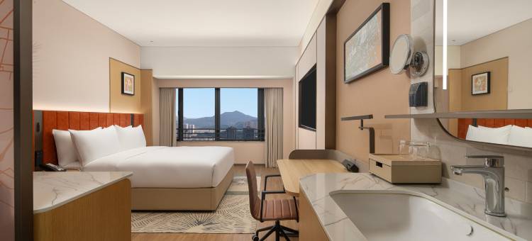 深圳坪山潮商广场希尔顿花园酒店图片