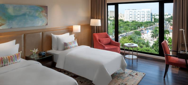 金奈羽毛拉达酒店(Feathers - A Radha Hotel Chennai)图片