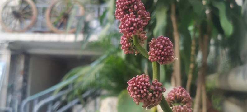 如家·云上四季尚品酒店(瑞丽财富广场旅游步行街店)图片