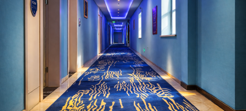 朗梵星空酒店图片