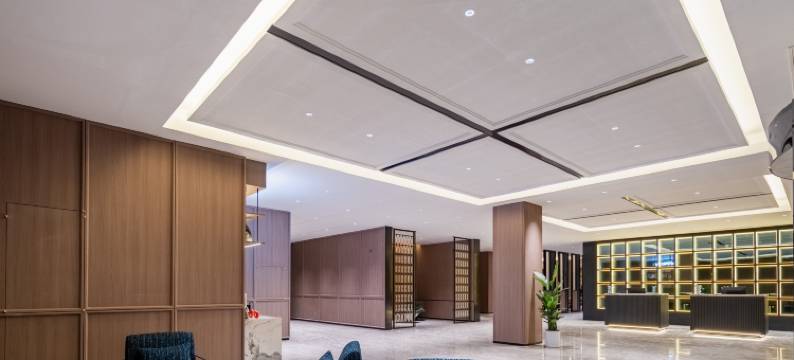 雷迪森世嘉酒店(上海国际旅游度假区川沙地铁站店)图片