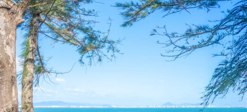 Hello•隐居180°海景民宿(三亚湾椰梦长廊店)图片