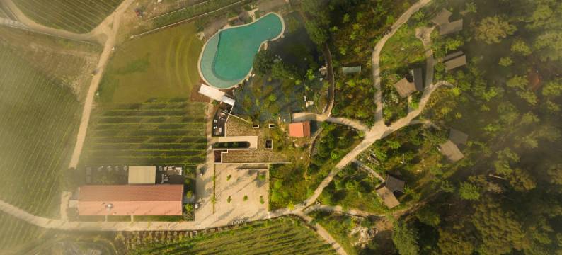 拉万蒂拉杜罗自然与健康(Lavandeira Douro Nature & Wellness)图片