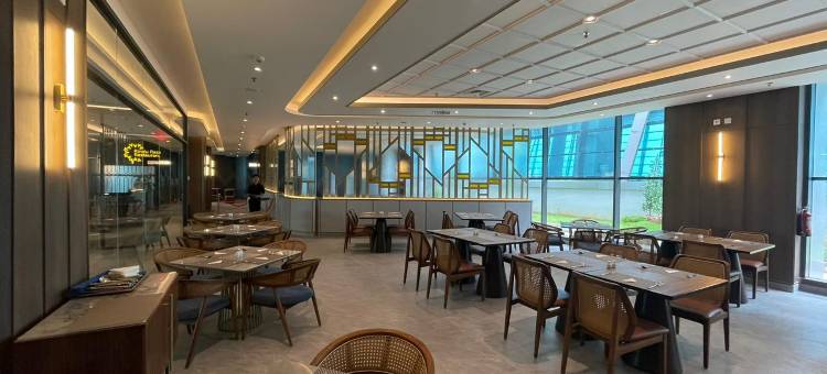 机场安纳拉大酒店(Grand Anara Airport Hotel)图片