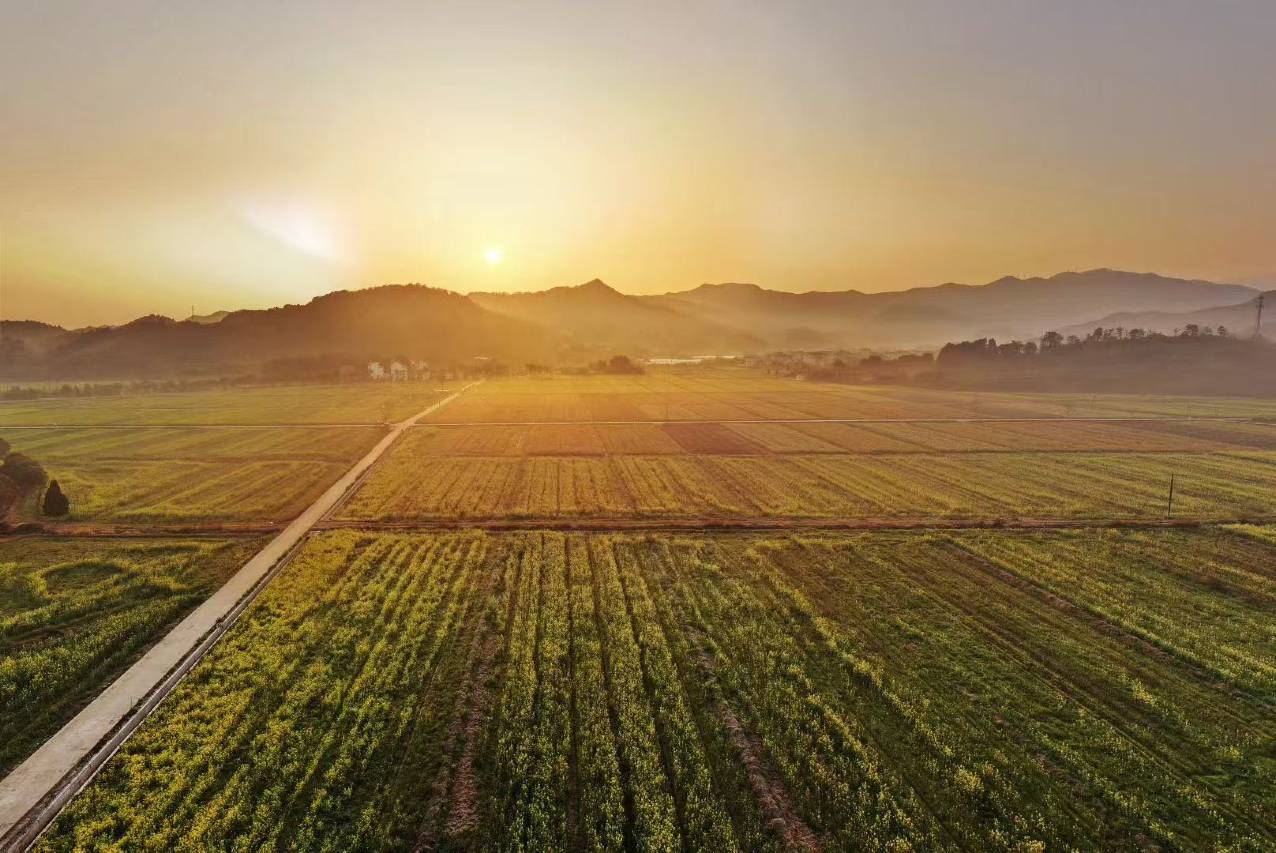 花筑·武义善渡古船木温泉民宿图片