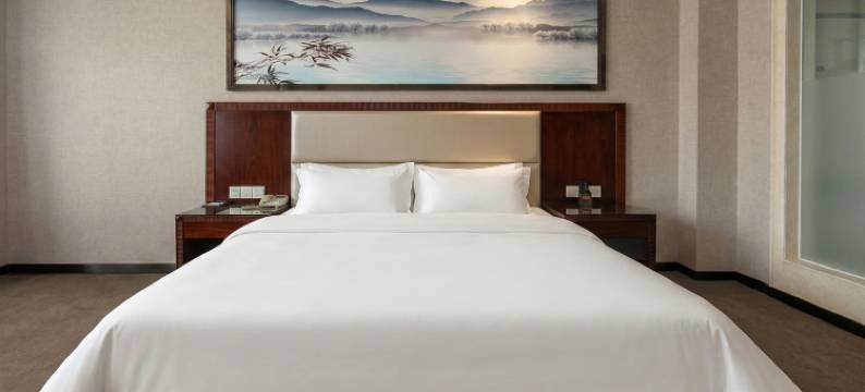 阳江银泰酒店(百利广场店)图片