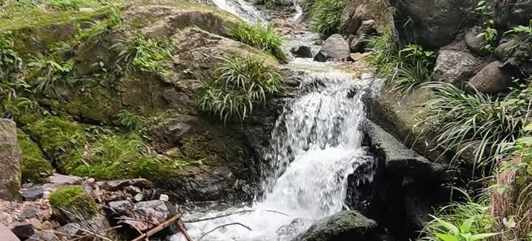 枕溪居田园民宿图片