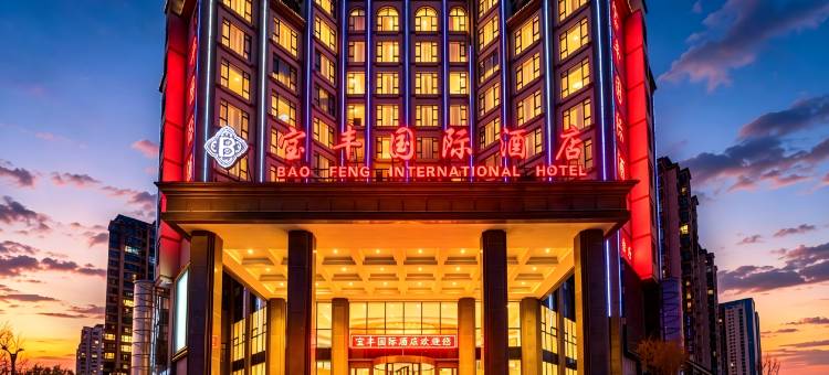 西宁宝丰国际酒店(海湖万达广场店)图片